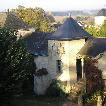 Manoir De Boisairault Bed & Breakfast Le Coudray-Macouard Luaran gambar