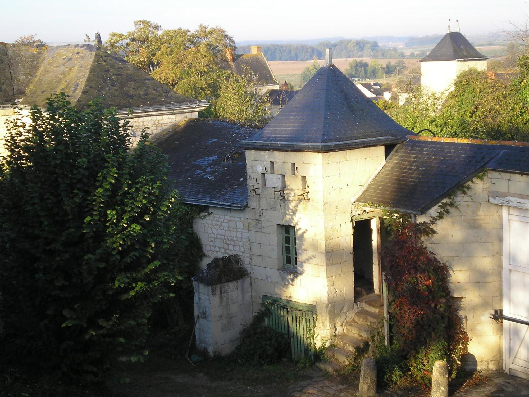 Manoir De Boisairault Bed & Breakfast Le Coudray-Macouard Luaran gambar