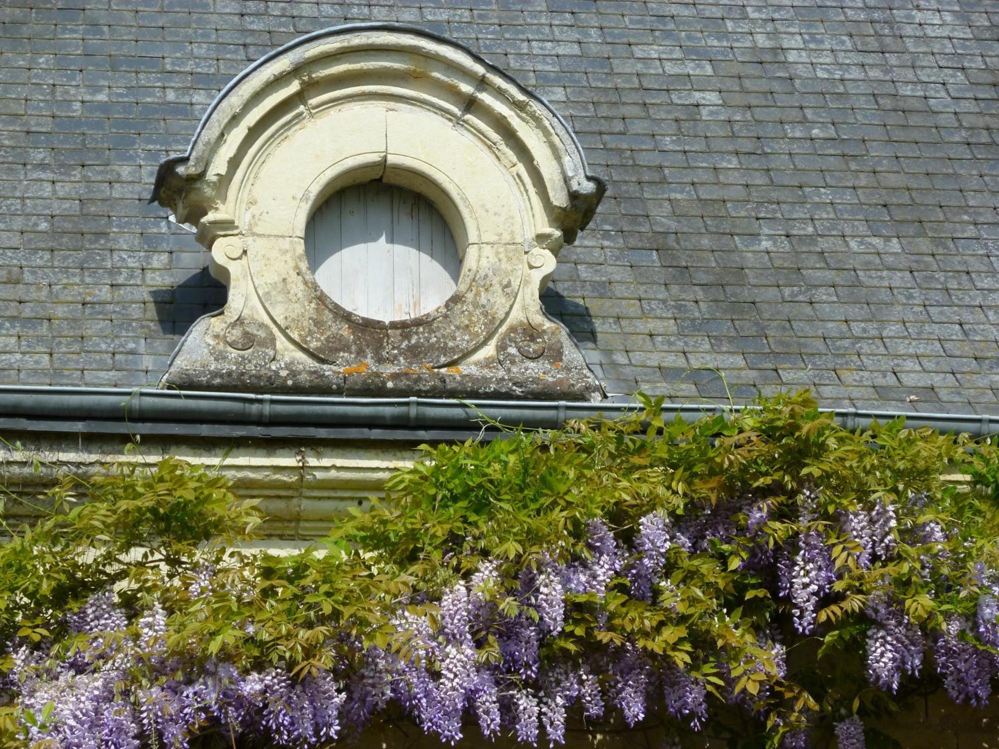 Manoir De Boisairault Bed & Breakfast Le Coudray-Macouard Luaran gambar
