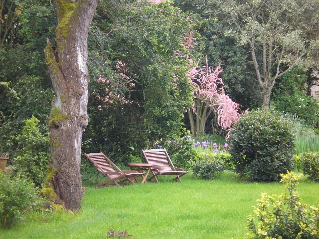 Manoir De Boisairault Bed & Breakfast Le Coudray-Macouard Luaran gambar