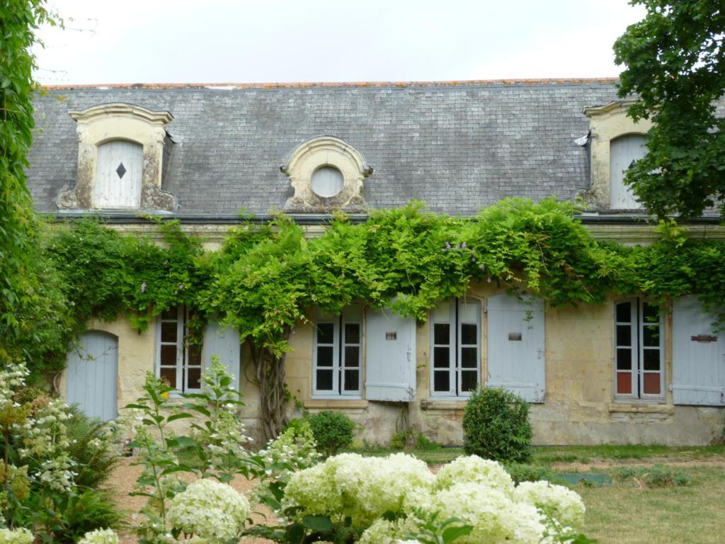 Manoir De Boisairault Bed & Breakfast Le Coudray-Macouard Luaran gambar