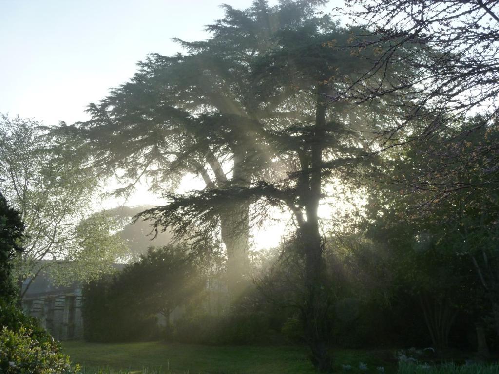 Manoir De Boisairault Bed & Breakfast Le Coudray-Macouard Luaran gambar