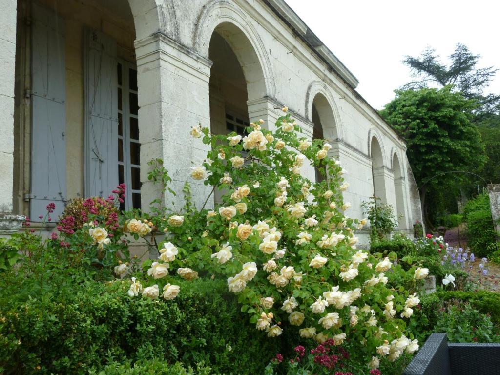 Manoir De Boisairault Bed & Breakfast Le Coudray-Macouard Luaran gambar