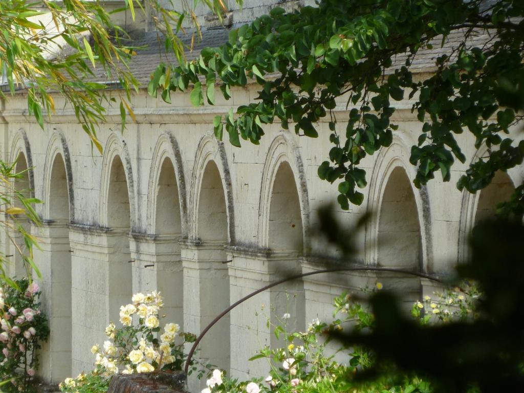 Manoir De Boisairault Bed & Breakfast Le Coudray-Macouard Luaran gambar