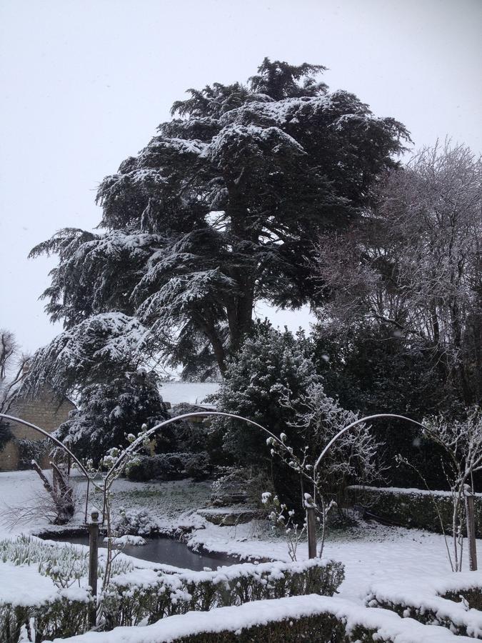 Manoir De Boisairault Bed & Breakfast Le Coudray-Macouard Luaran gambar