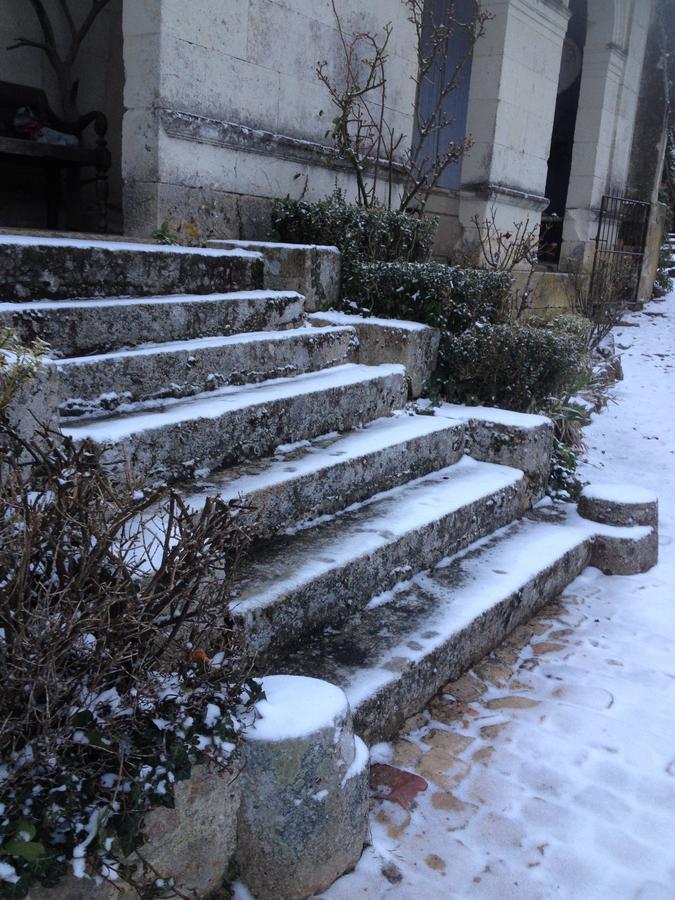 Manoir De Boisairault Bed & Breakfast Le Coudray-Macouard Luaran gambar